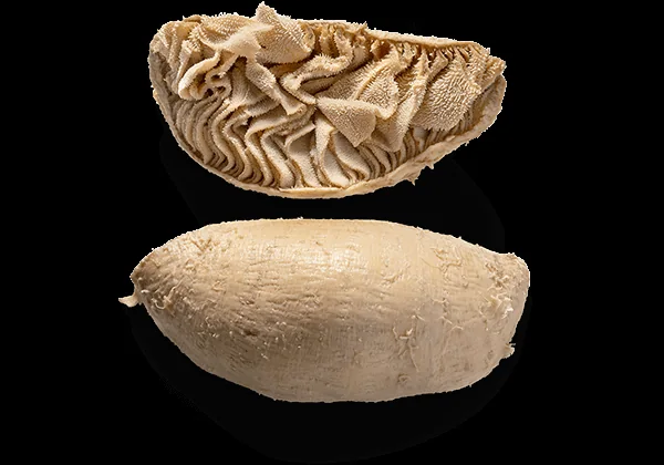 Natural semicooked omasum - Frozen export item