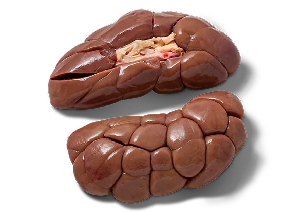 Beef kidney - Frozen export item
