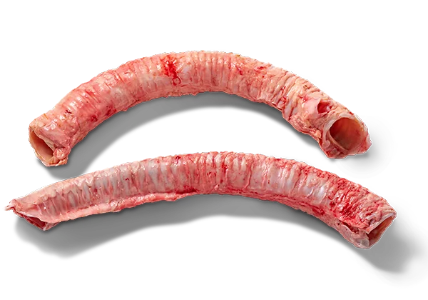 Trachea - Frozen export item